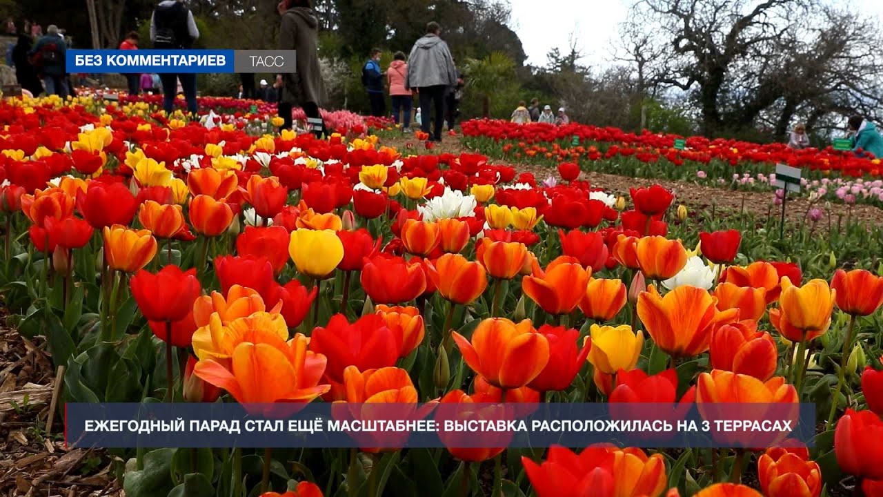 � ��������� ������������ ���� ��������� ����� ���������