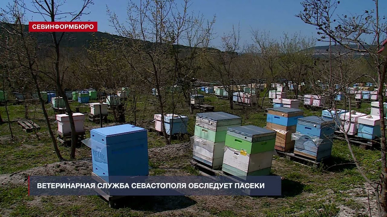 ������������ ��������������� ���� ��������� ����������