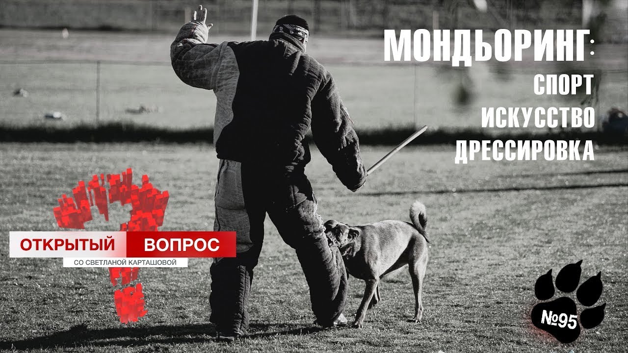 Крымский чемпионат по мондьорингу. Открытый вопрос (выпуск 95)