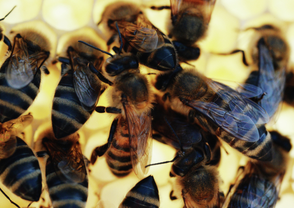 ������ �������� ������� �������� ������ ����