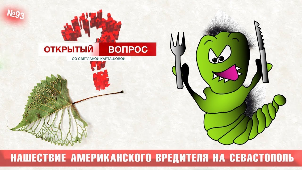 Нашествие американского вредителя на Севастополь. Открытый вопрос (выпуск 93)