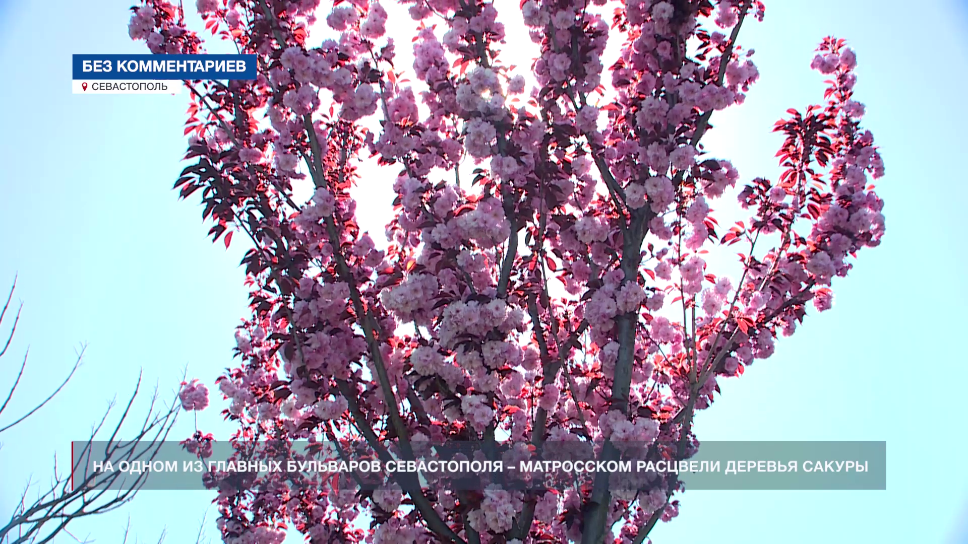 �� ����� �� ������� ��������� ����������� � ���������� � �������� ������� ������