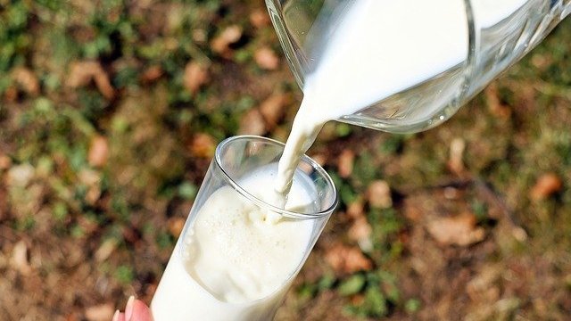 Молоко местного производства можно будет купить в Севастополе осенью 2022 года
