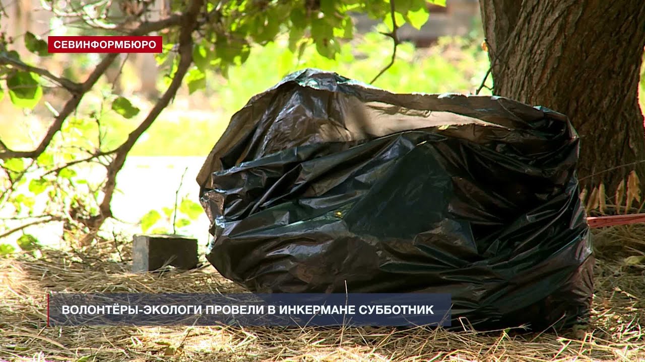 Волонтёры-экологи провели в Инкермане субботник