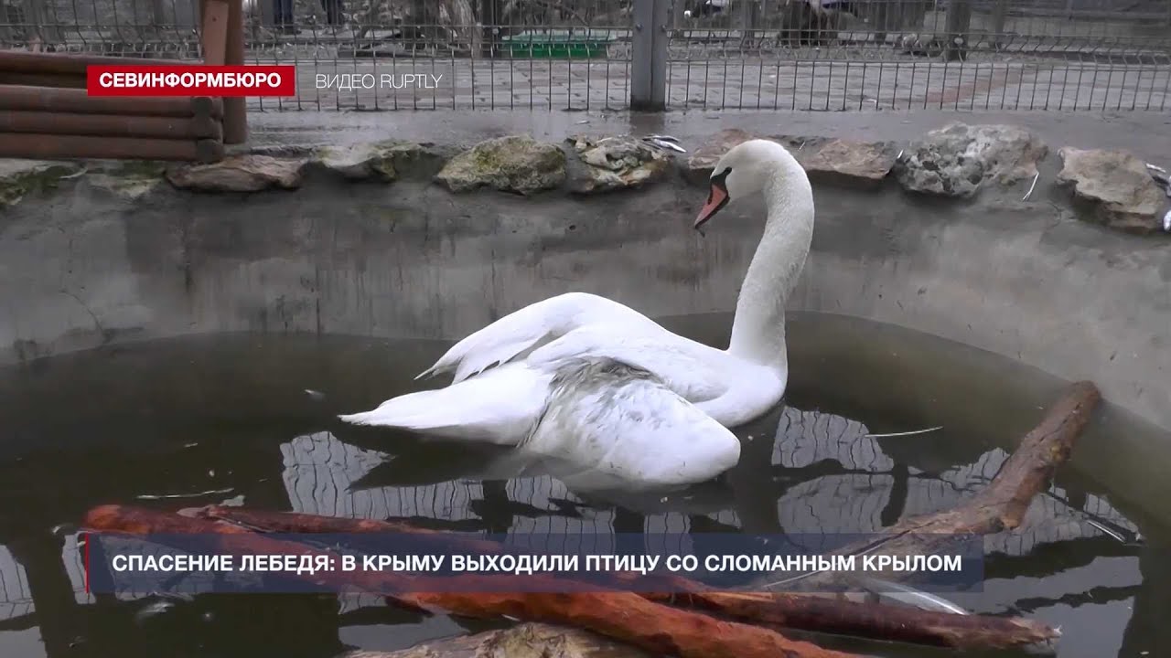 �������� ������: � ����� �������� ����� �� ��������� ������