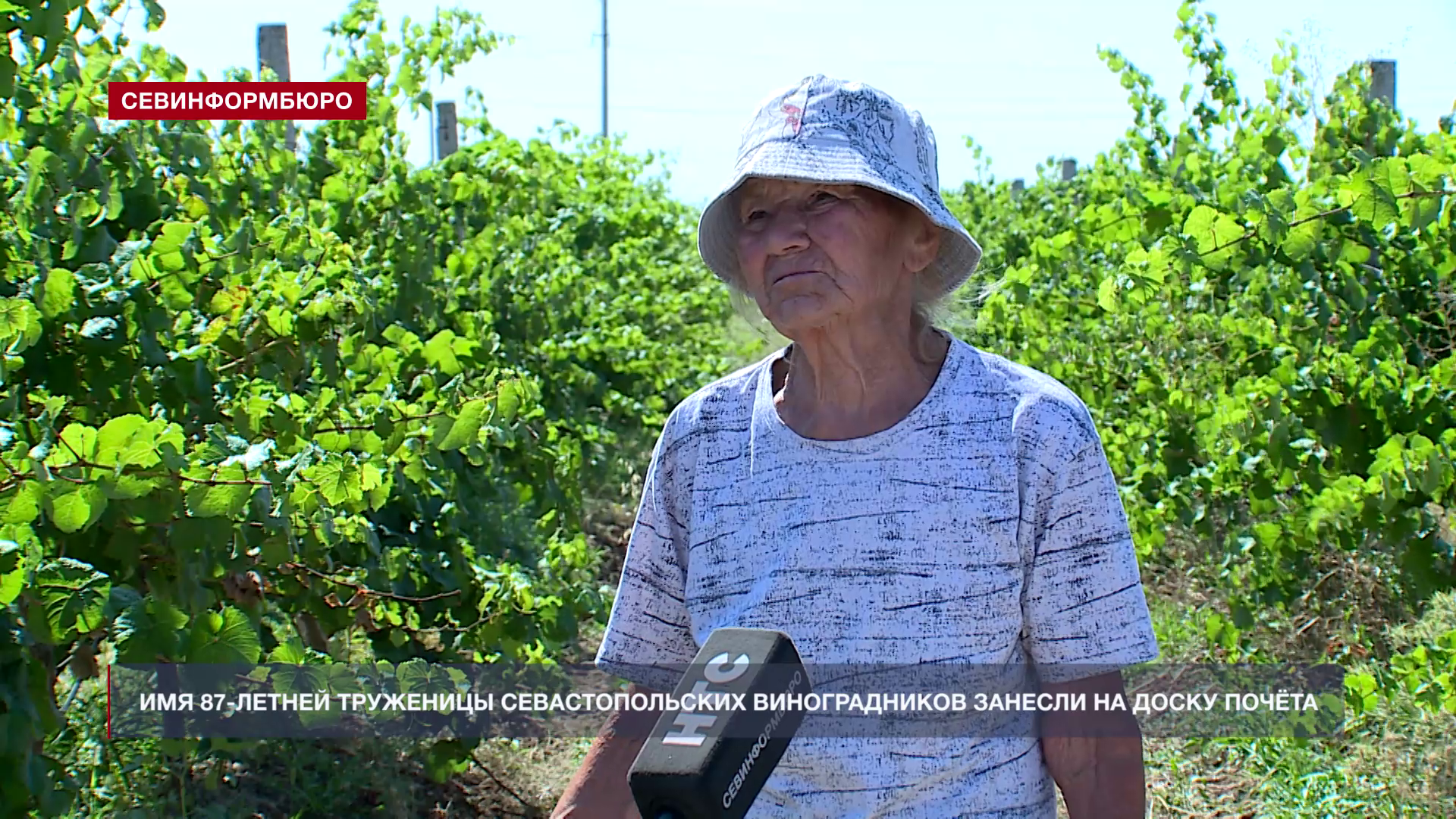 Без любви дела не будет нигде: история 87-летней труженицы севастопольских виноградников