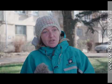 «Золотое» озеленение Севастополя: как миллионы в землю закапывают?