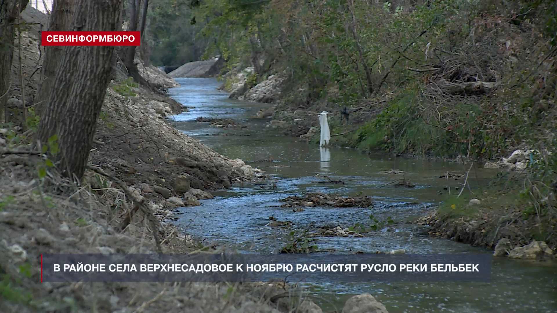 Более 1,5 километров русла реки Бельбек в Верхнесадовом расчистят к ноябрю