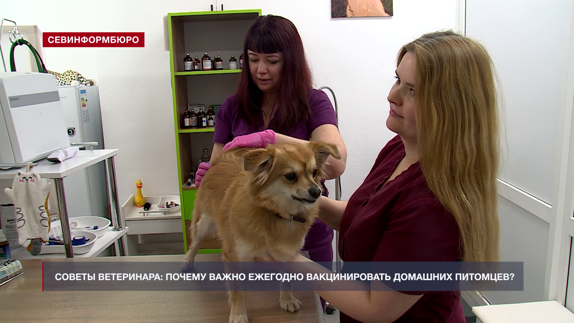 ������ ����������: ��� ���� ����� ��������� ���������� �������?