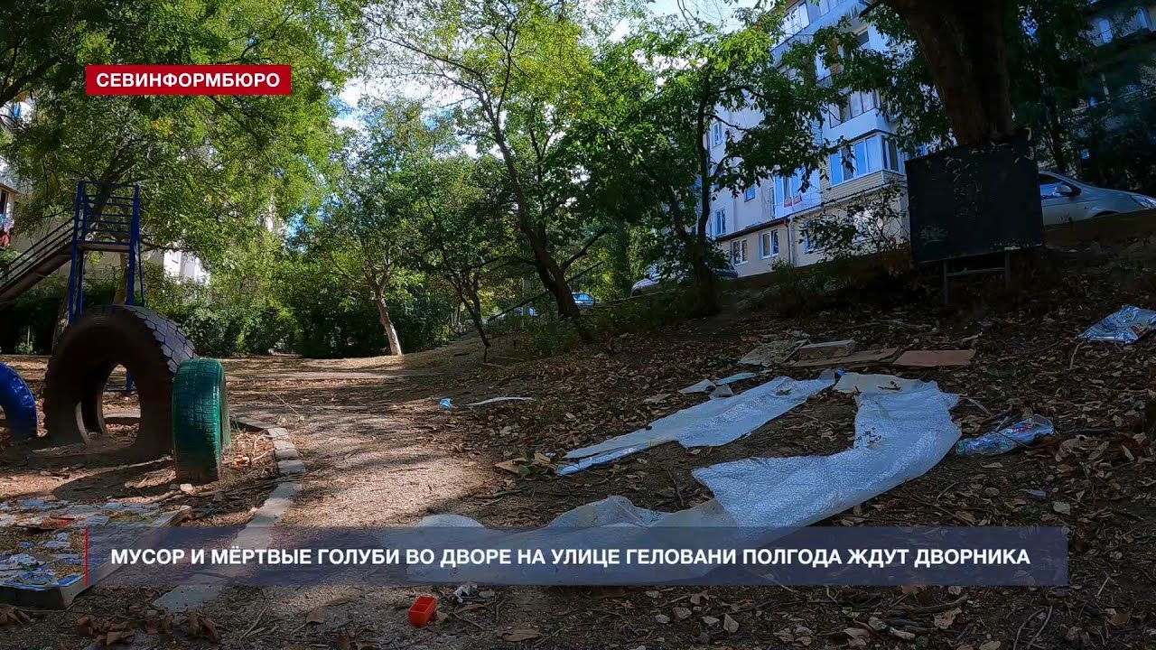 Мусор и мёртвые голуби во дворе на улице Геловани полгода ждут дворника