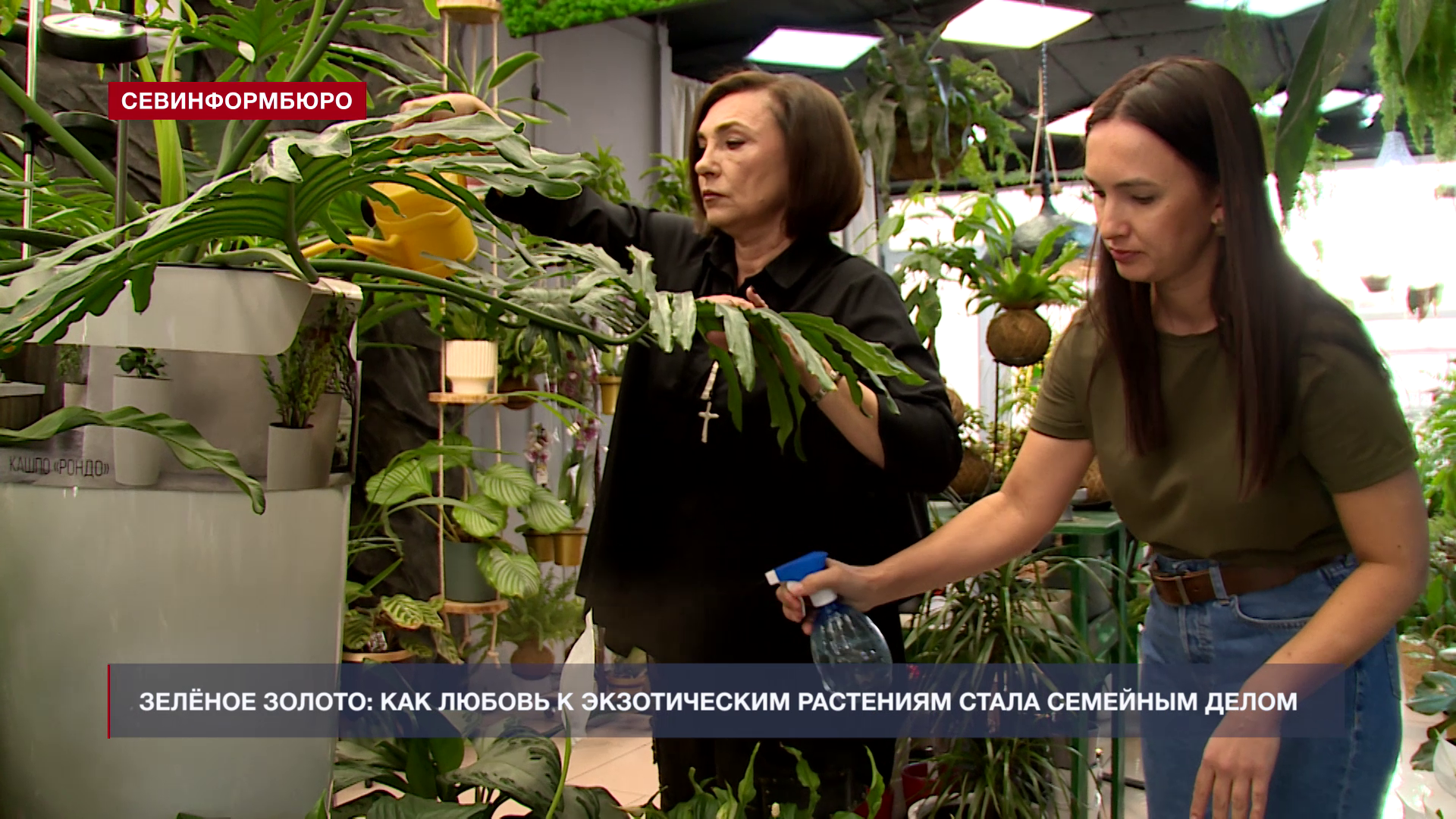 �� ���� ������ �������, � ������� �������� �������� ������������� ��� ��������