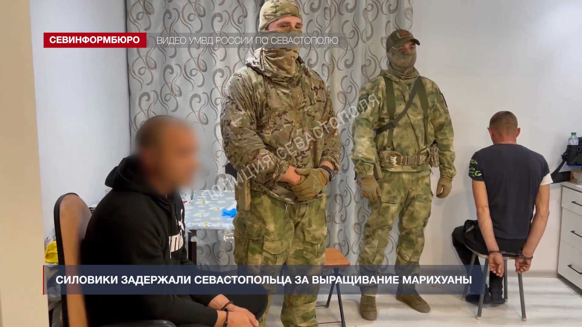 Севастопольца задержали за выращивание марихуаны