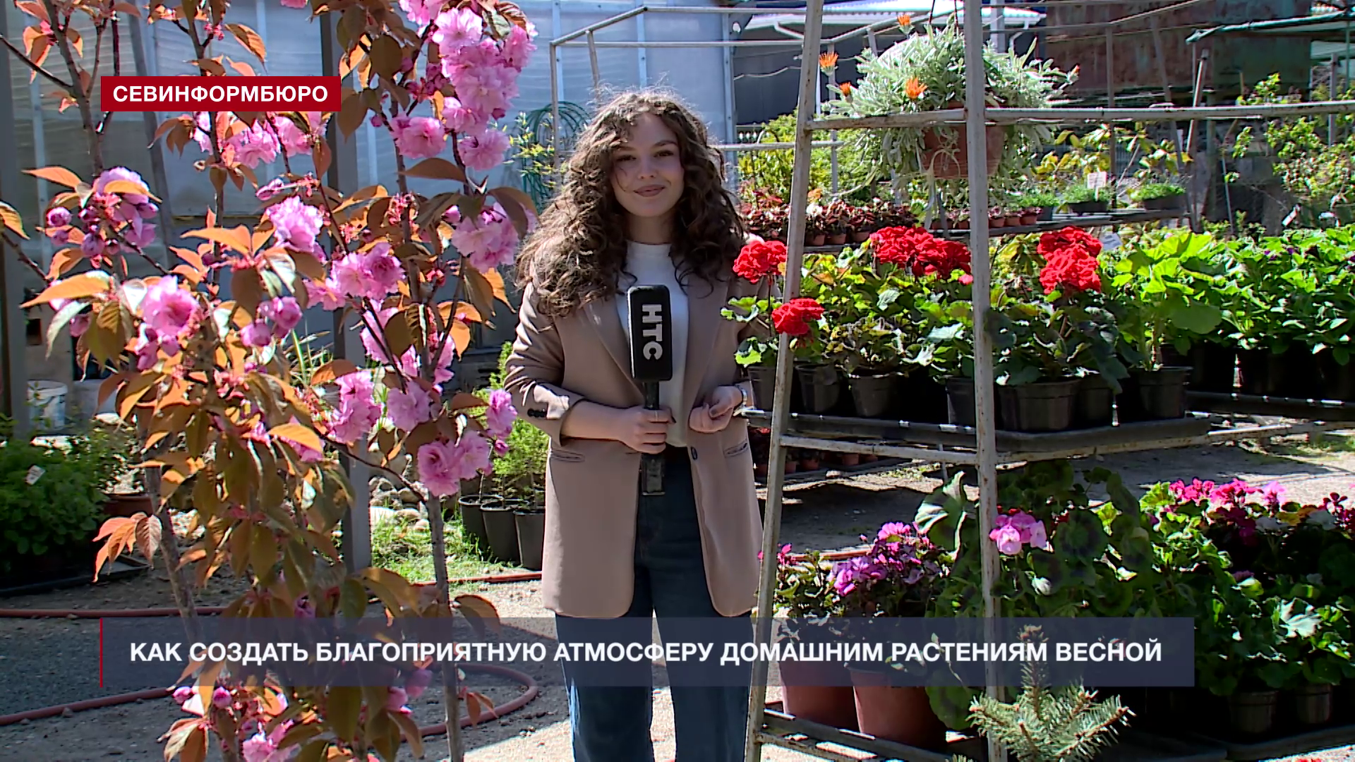 ��� ������� ������������� ��������� �������� ��������� ������ � ������ ���������