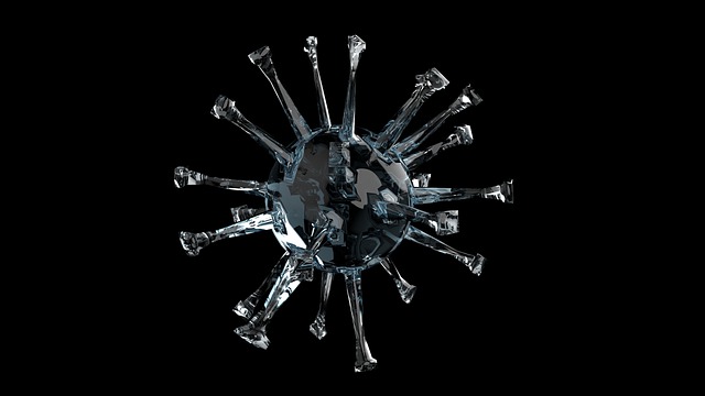 � ����� �� ����� ������������� �������� 354 ��������