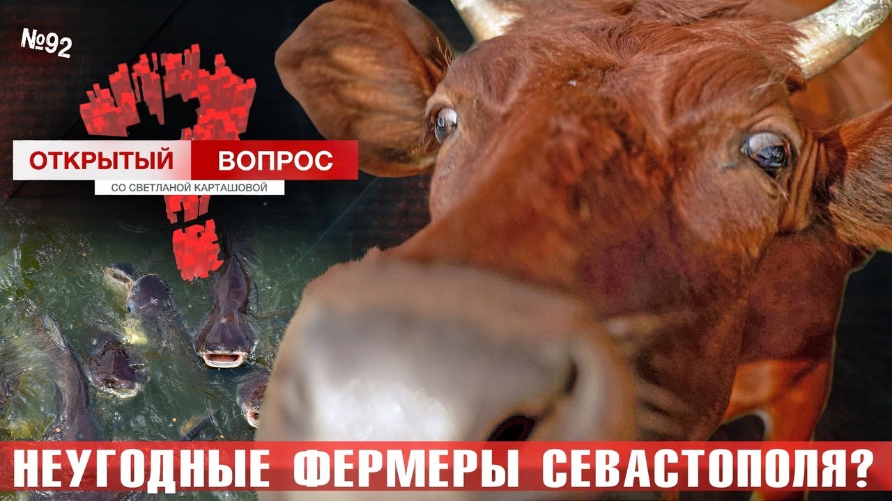 Неугодные угодья и фермеры Севастополя. Открытый вопрос (выпуск 92)