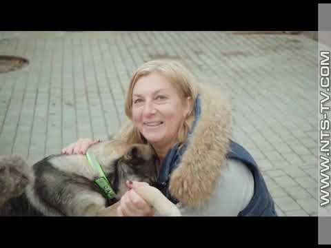 Собачьи условия по госконтракту