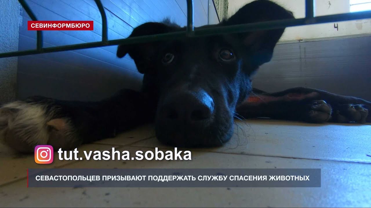 ������������� �������������� ��������� ���������� ������ �������� ��������