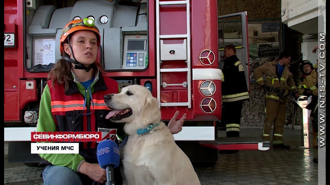 ��������������� ��������� ������� ������ � ������������ ��������� �������� ���������