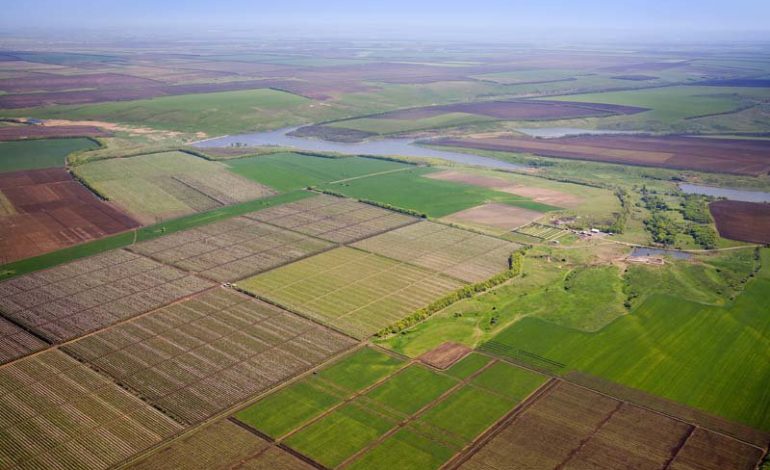 ������� �������� ������ �� ������� �����