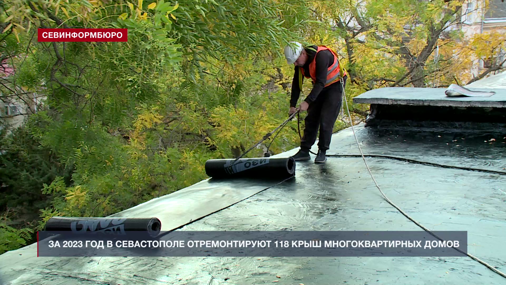 �� 2023 ��� � ����������� ������������� 118 ���� ��������������� �����