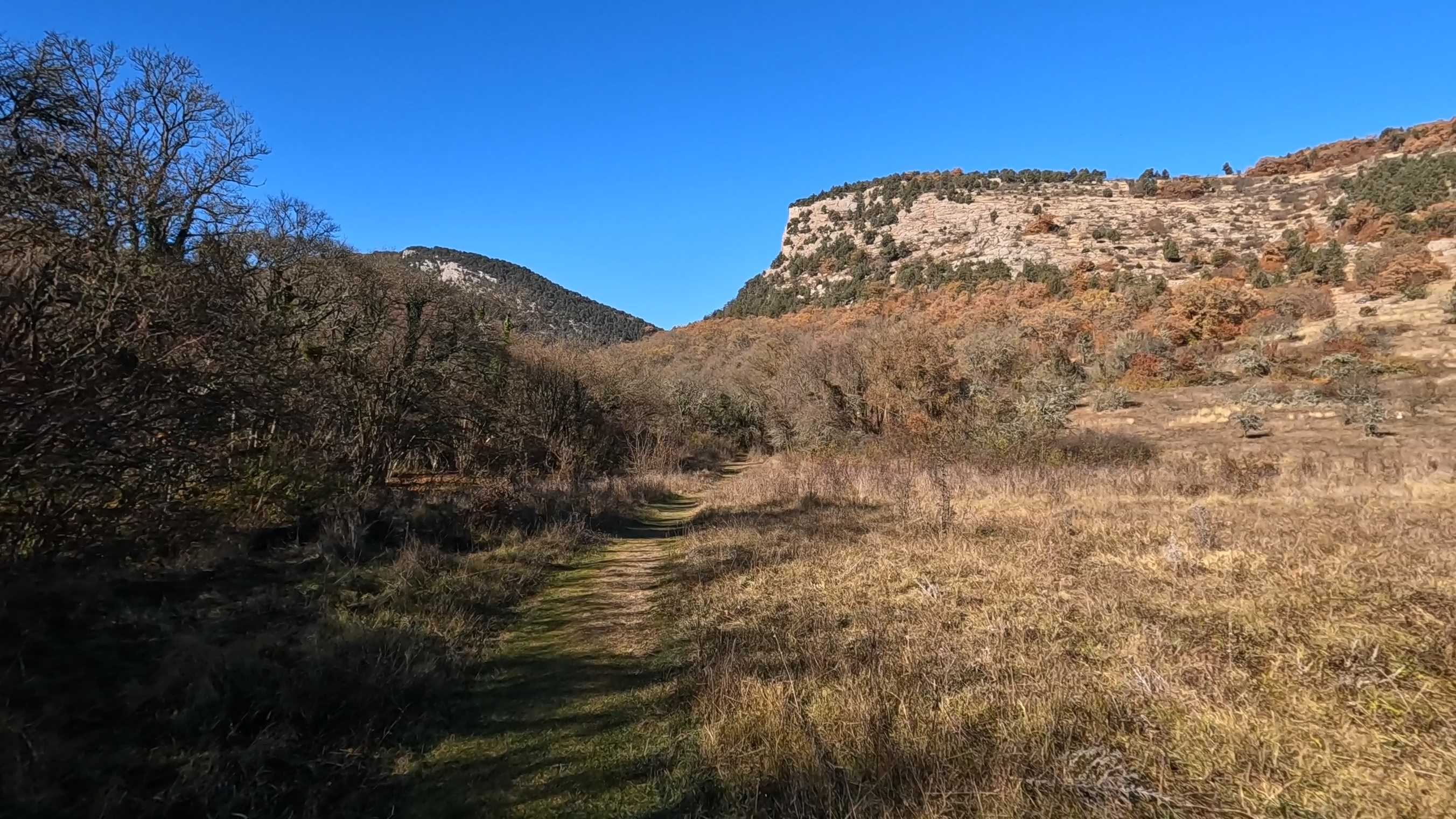 � ����������� ������� ����������� �� ��������� �����