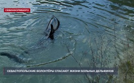 ��������������� �������� ������� �� ����� �������� �����