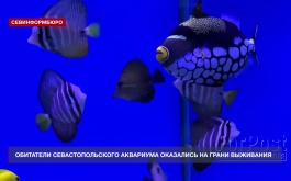 ���������� ���������������� ��������� ������� ������