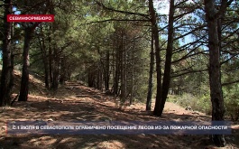 � 1 ���� � ����������� ���������� ��������� ����� ��-�� �������� ���������