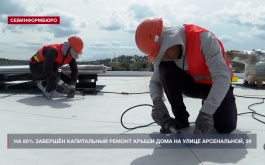 �� 80% �������� ����������� ������ ����� ���� �� ����� �����������, 29