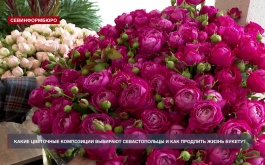 ����� ����� �������� ������ ����������� � ��� �������� ����� ������?