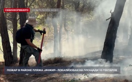 Пожар в районе пляжа «Инжир» локализован на площади 15 га