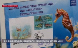 � ������ �������� ����� � ����������� ׸����� ����