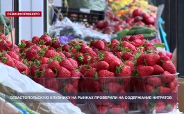 ��������������� �������� �� ������ ��������� �� ���������� ��������
