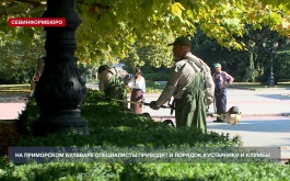 На Приморском бульваре специалисты ухаживают за кустарниками и клумбами