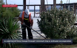 На набережной Парка Победы в Севастополе проводят сезонный уход за зелёными насаждениями