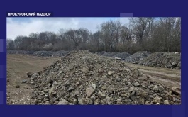 Почти 100 млн рублей выплатят организаторы свалки стройотходов в заказнике «Байдарский»