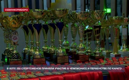В Ялте 250 спортсменов приняли участие в чемпионате и первенстве по каратэ