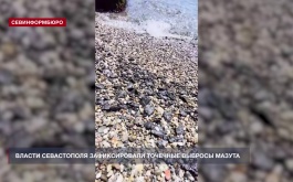 Власти Севастополя зафиксировали точечные выбросы мазута