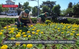 Специалисты ГБУ «Парки и скверы» высадили цветы на площади Ушакова