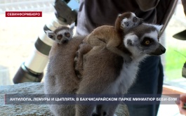 � �������������� ����� �������� ���������� � �������� ���������� � ��������