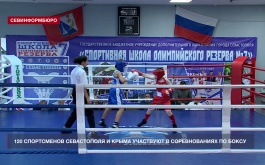 120 спортсменов Севастополя и Крыма участвуют в соревнованиях по боксу