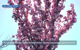 �� ����� �� ������� ��������� ����������� � ���������� � �������� ������� ������