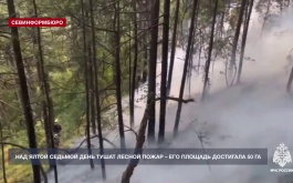 Над Ялтой седьмой день тушат лесной пожар