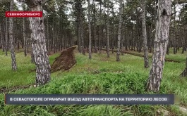 В Севастополе ограничат въезд автотранспорта на территорию лесов