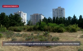 Севастопольцы обеспокоены судьбой деревьев на отданной под застройку территории у Парка Победы