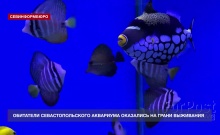 ���������� ���������������� ��������� ������� ������