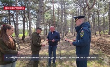 ���������� ��� � ���������������� ����������� �������� ���������� ����� �� ������������ �������