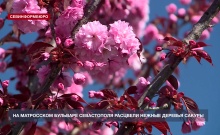 �� ����� �� ������� ��������� ����������� � ���������� � �������� ��������� ������� ������