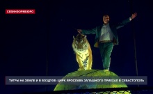 ���� �������� ��������� �������� � ����������� c ���������� ������ �� ����� � � �������