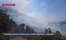 ������� ������ � ������ ����� ������ �������� 15 ��������